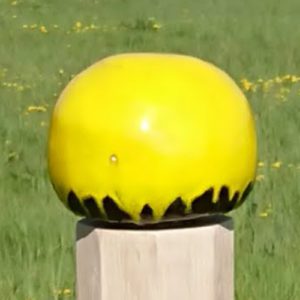 Mayestic Yellow kap Buitenbeelden DHVR 2018 keramiek, eiken, rvs