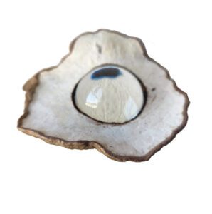 Groot licht 13-14-5,6 Tondelhout, glas, pigment | 2022 DHVR