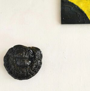 Tondelzwam Wandsculpturen