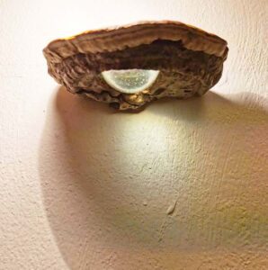 Klein Licht Tonderhout, glas 8-12-3 | 2021 DHVR